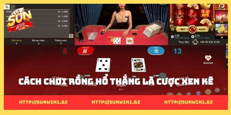 Cách chơi Rồng Hổ thắng khiến ai cũng muốn thử ngay Cách chơi Rồng Hổ thắng là cược xen kẽ
