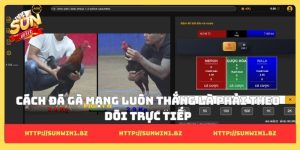 Cách đá gà mạng luôn thắng là phải theo dõi trực tiếp