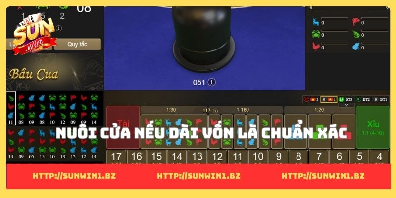 8 mẹo chơi bầu cua tôm cá ngoài đời để hốt bạc Nuôi cửa nếu dài vốn là chuẩn xác